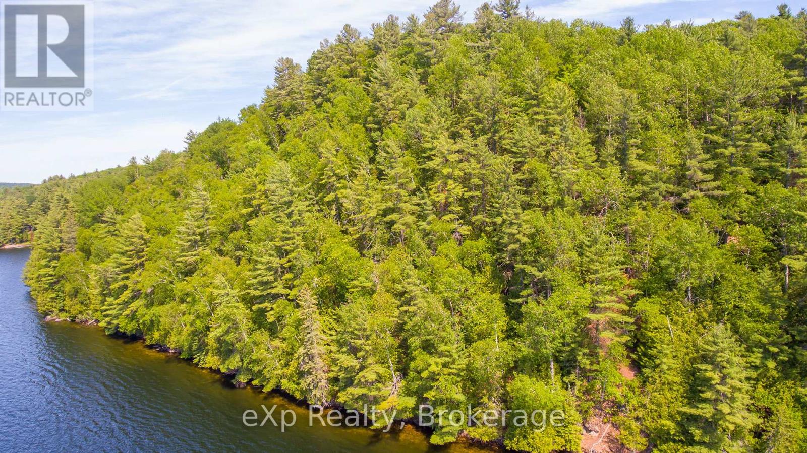Lot # 4 Gonnsen Trail, Dysart Et Al, Ontario  K0M 1S0 - Photo 4 - X12171671