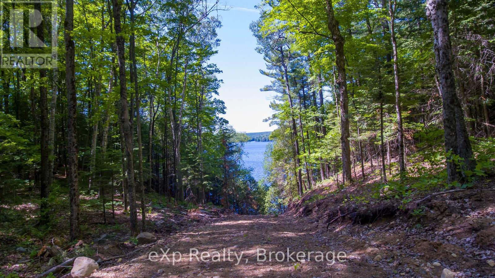 Lot # 4 Gonnsen Trail, Dysart Et Al, Ontario  K0M 1S0 - Photo 6 - X12171671