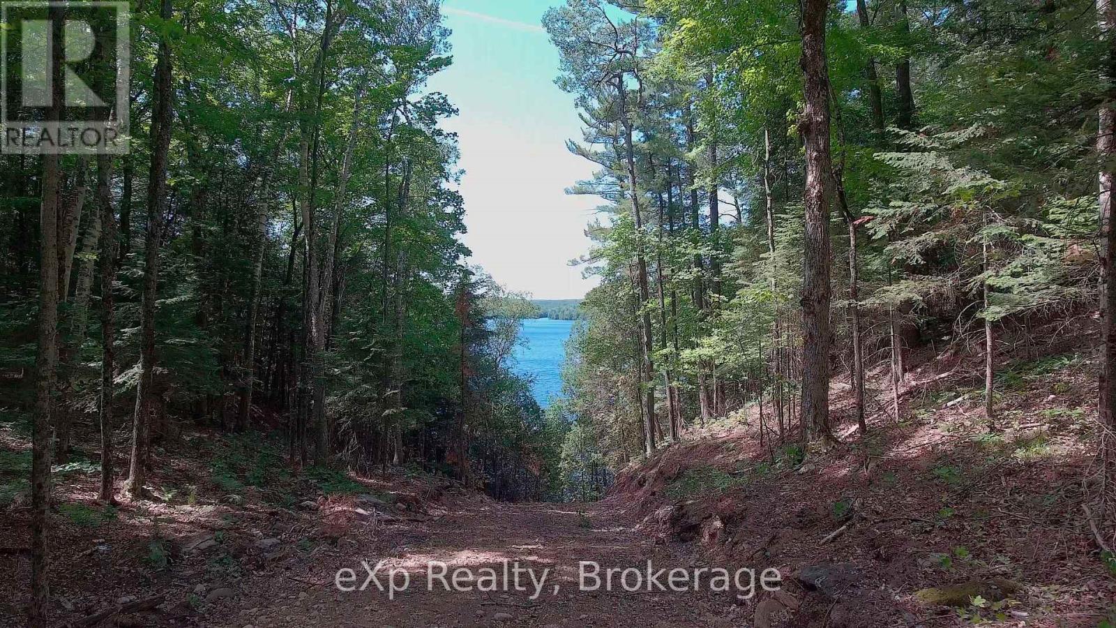 Lot # 4 Gonnsen Trail, Dysart Et Al, Ontario  K0M 1S0 - Photo 9 - X12171671