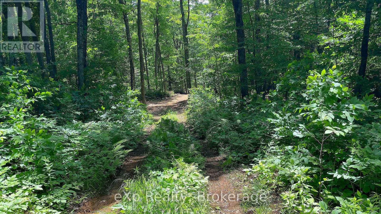 Lot 5 Gonnsen Trail, Dysart Et Al, Ontario  K0M 1S0 - Photo 11 - X12171687