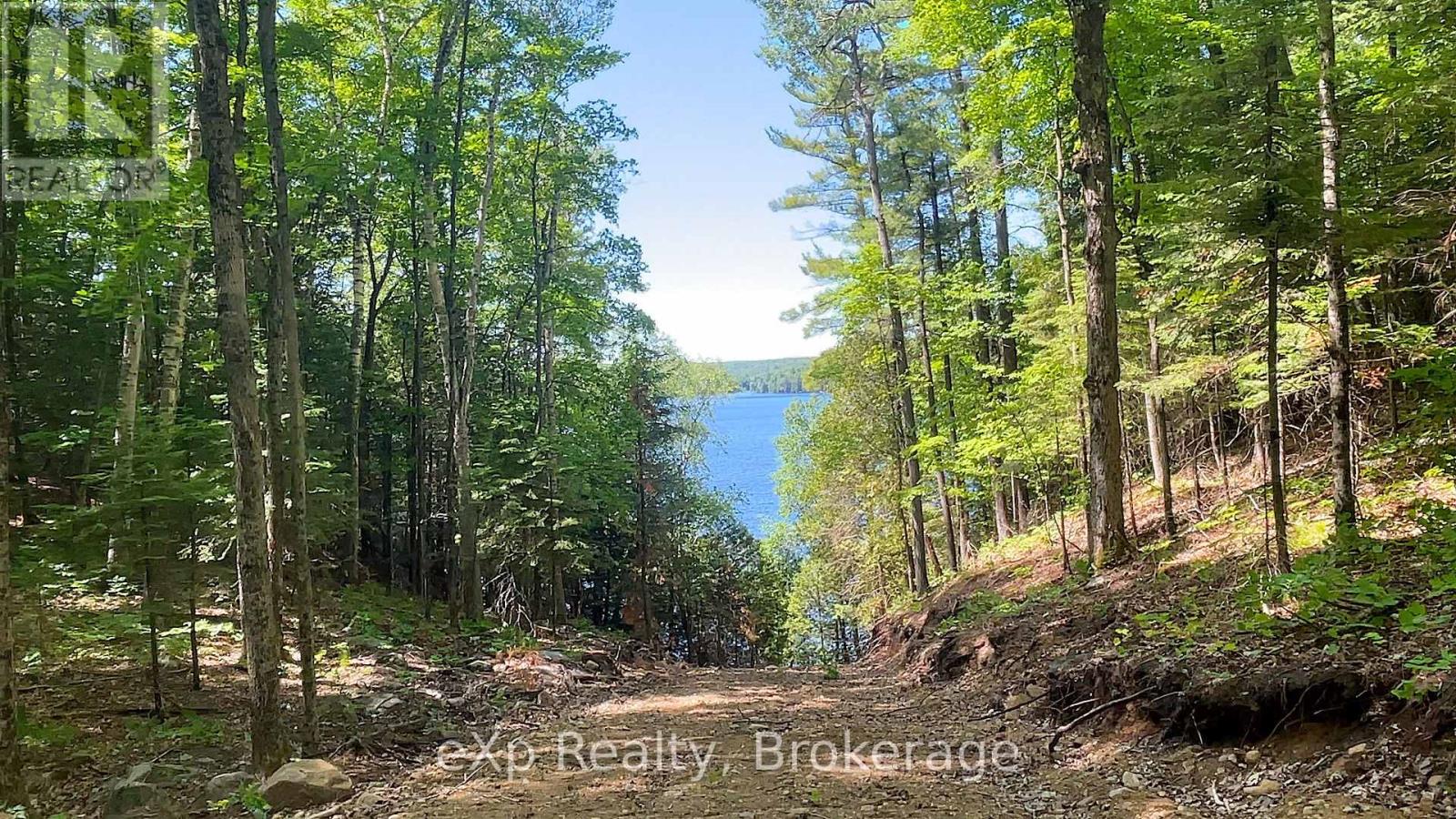 Lot 5 Gonnsen Trail, Dysart Et Al, Ontario  K0M 1S0 - Photo 4 - X12171687