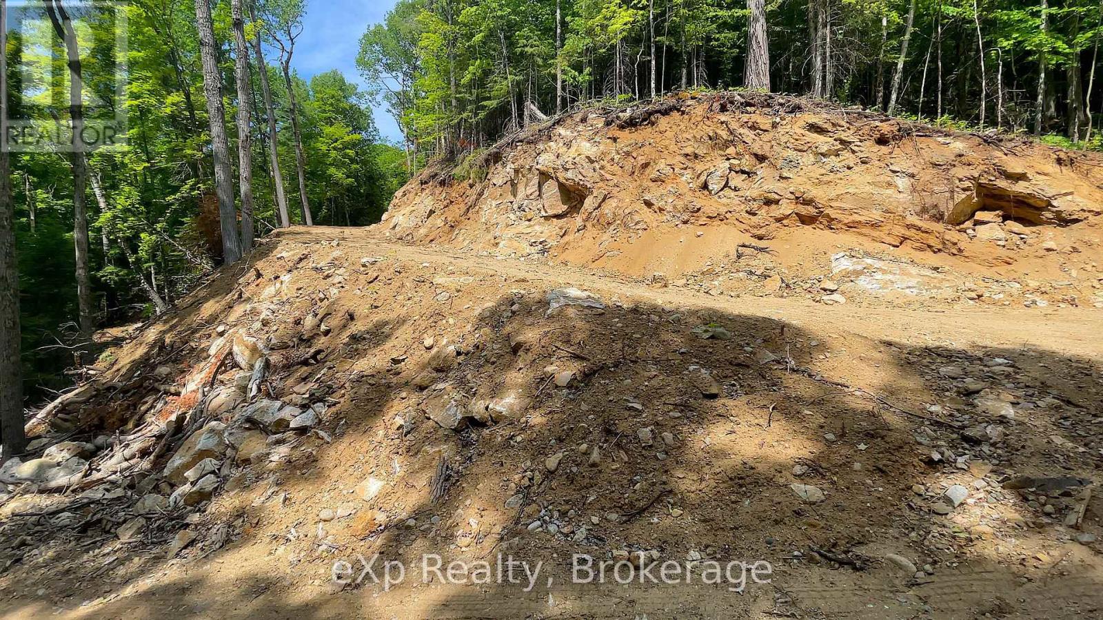 Lot 5 Gonnsen Trail, Dysart Et Al, Ontario  K0M 1S0 - Photo 8 - X12171687