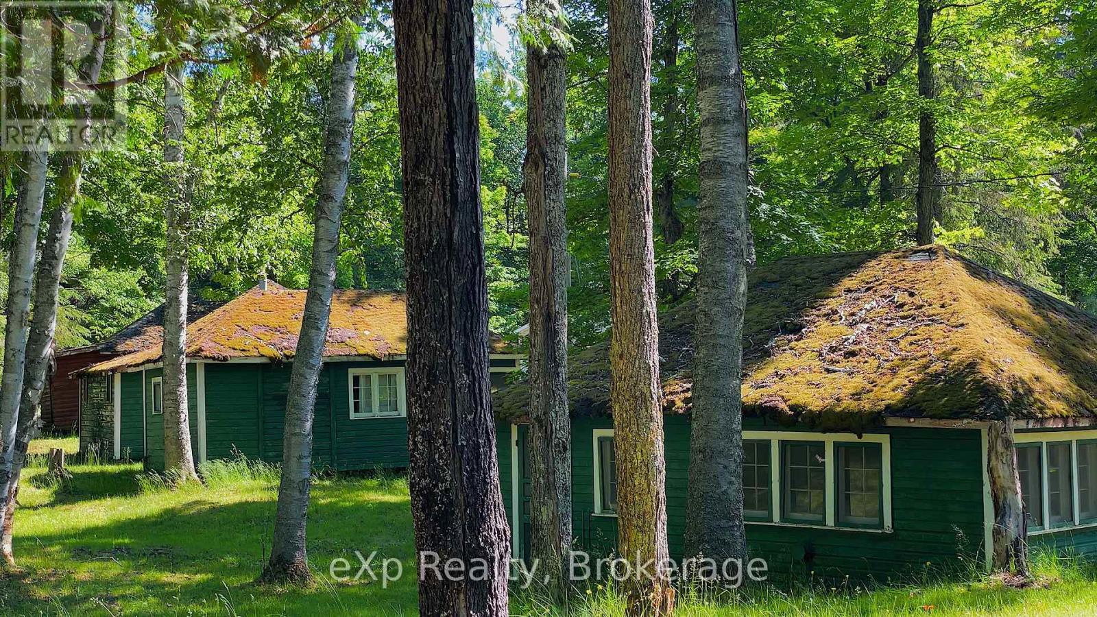 1005 Murrays Road, Dysart Et Al, Ontario  K0M 1S0 - Photo 10 - X12171726
