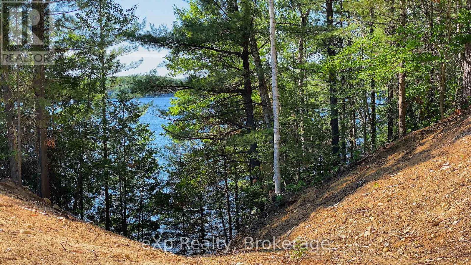 1005 Murrays Road, Dysart Et Al, Ontario  K0M 1S0 - Photo 16 - X12171726