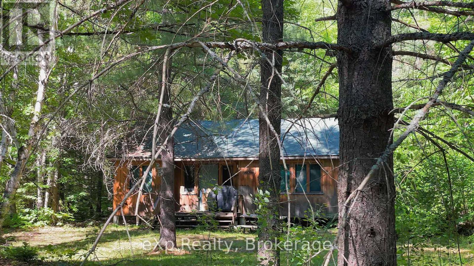1005 Murrays Road, Dysart Et Al, Ontario  K0M 1S0 - Photo 18 - X12171726