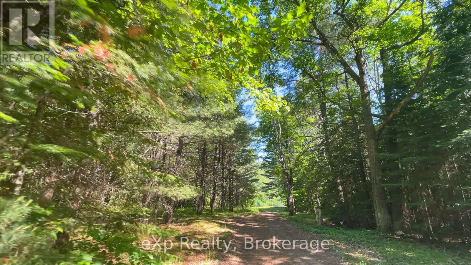 1005 Murrays Road, Dysart Et Al, Ontario  K0M 1S0 - Photo 2 - X12171726