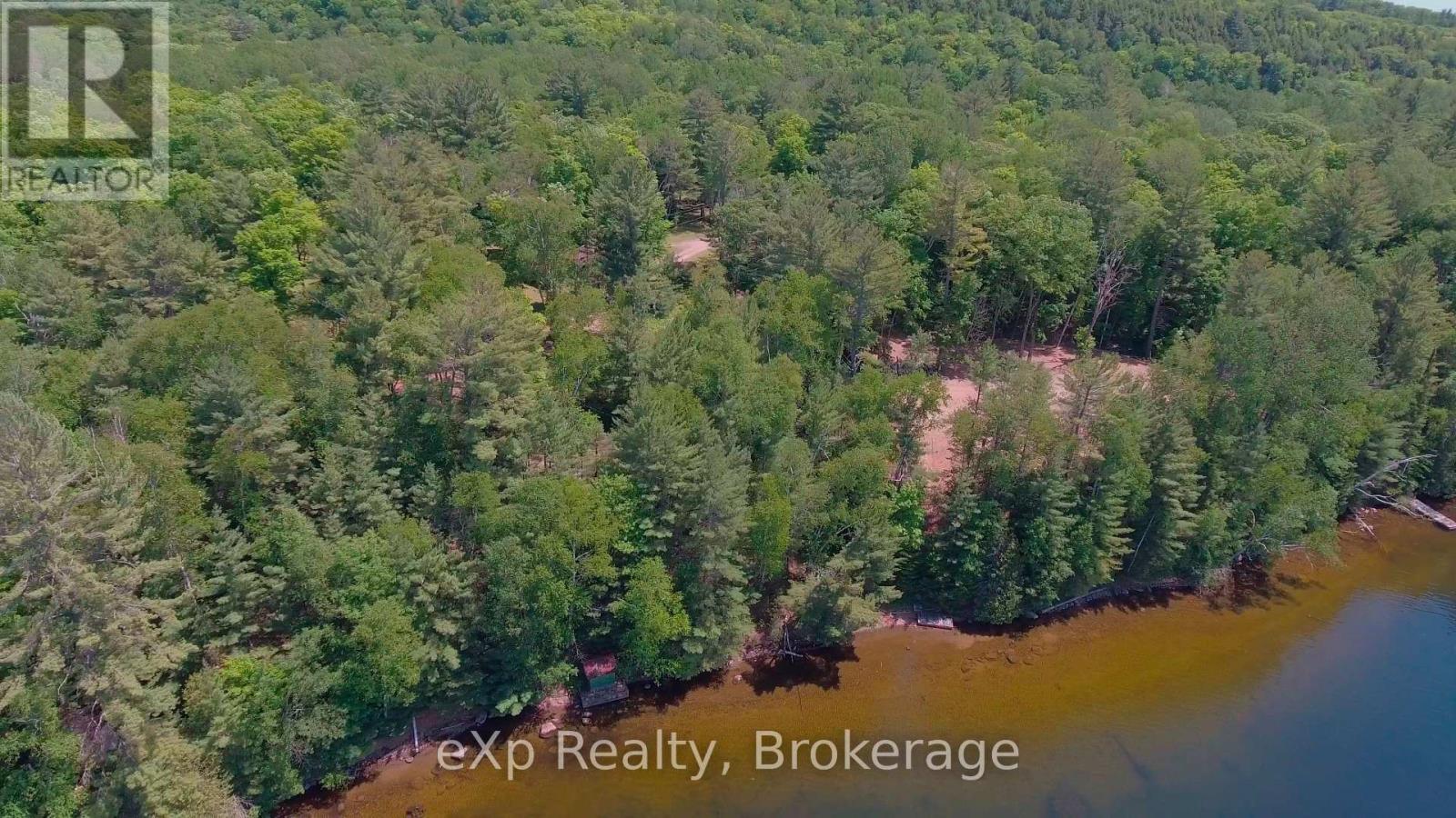 1005 Murrays Road, Dysart Et Al, Ontario  K0M 1S0 - Photo 4 - X12171726