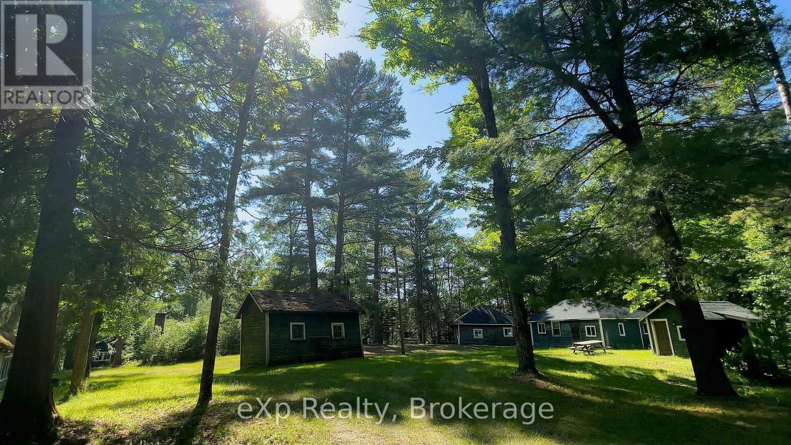 1005 Murrays Road, Dysart Et Al, Ontario  K0M 1S0 - Photo 9 - X12171726