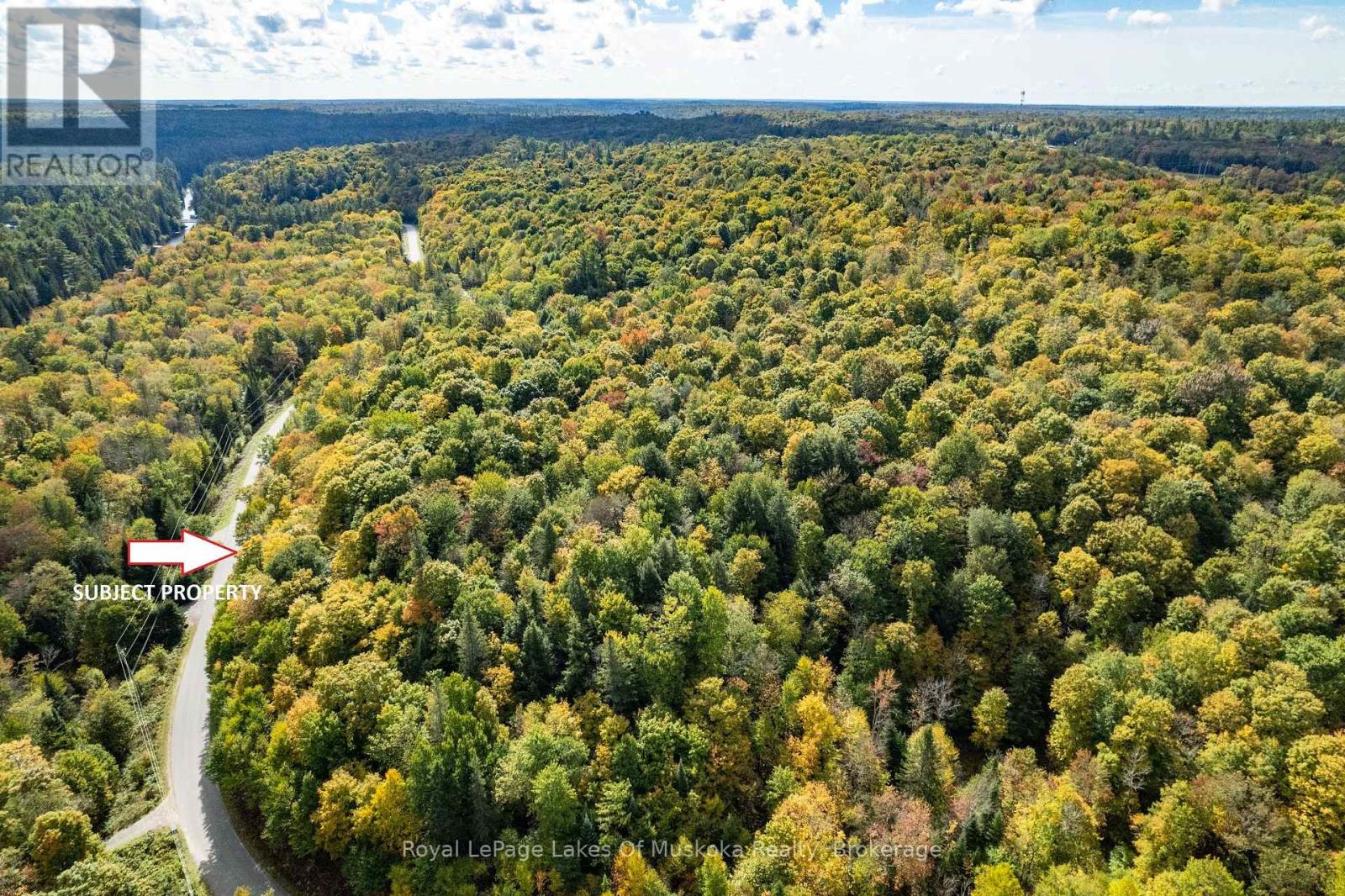 195 River Valley Drive, Huntsville, Ontario  P0B 1C0 - Photo 40 - X12175066