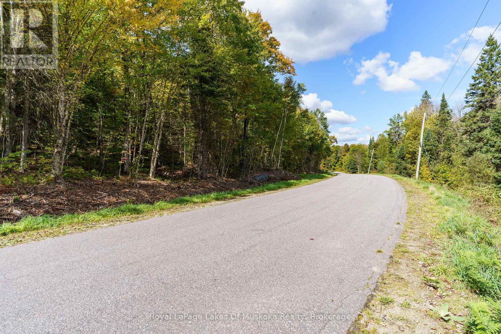 195 River Valley Drive, Huntsville, Ontario  P0B 1C0 - Photo 45 - X12175066