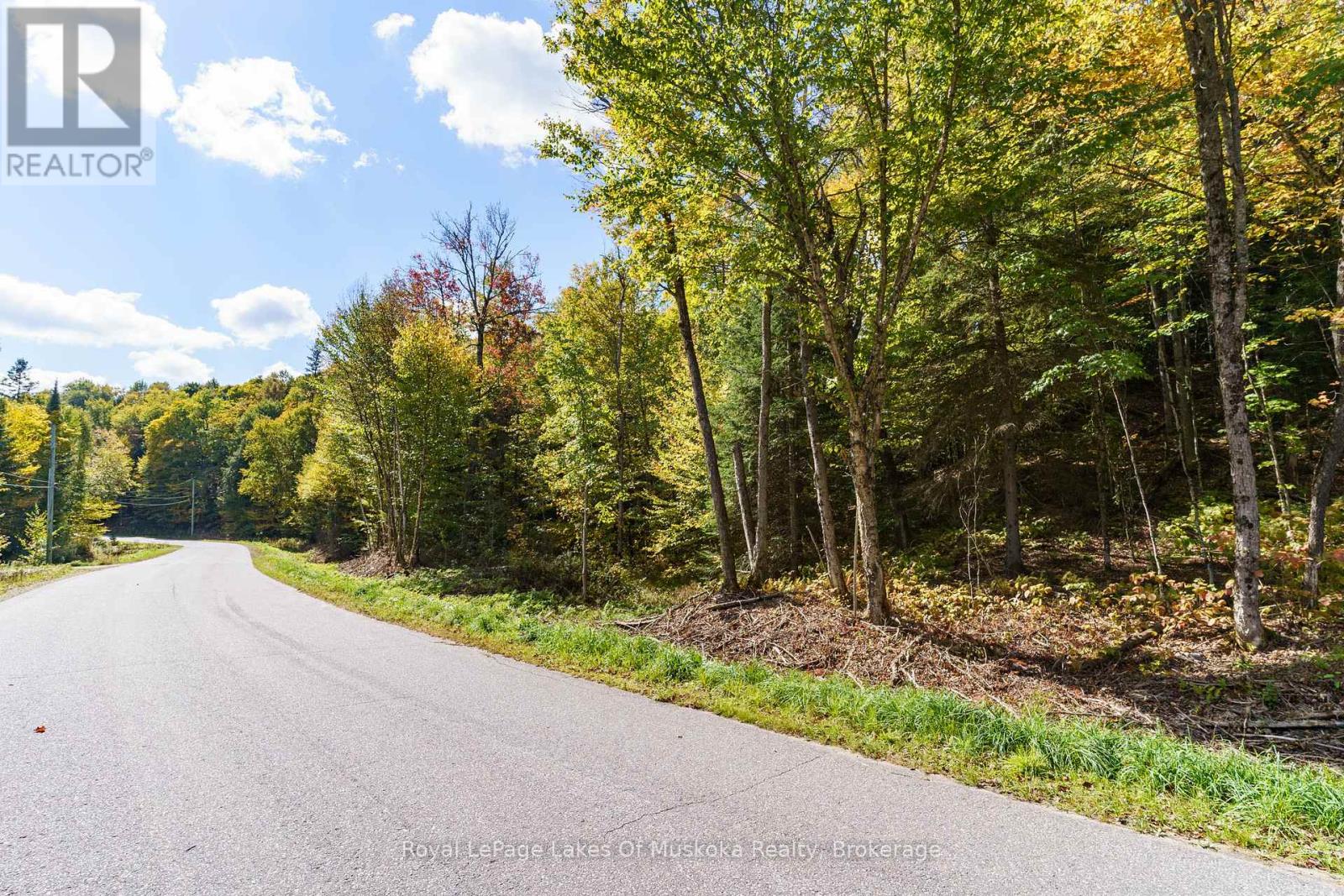 195 River Valley Drive, Huntsville, Ontario  P0B 1C0 - Photo 46 - X12175066