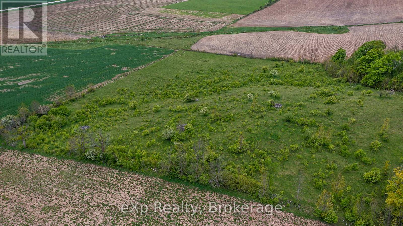 216 Concession 10 E, Arran-Elderslie, Ontario  N0H 2N0 - Photo 11 - X12176268
