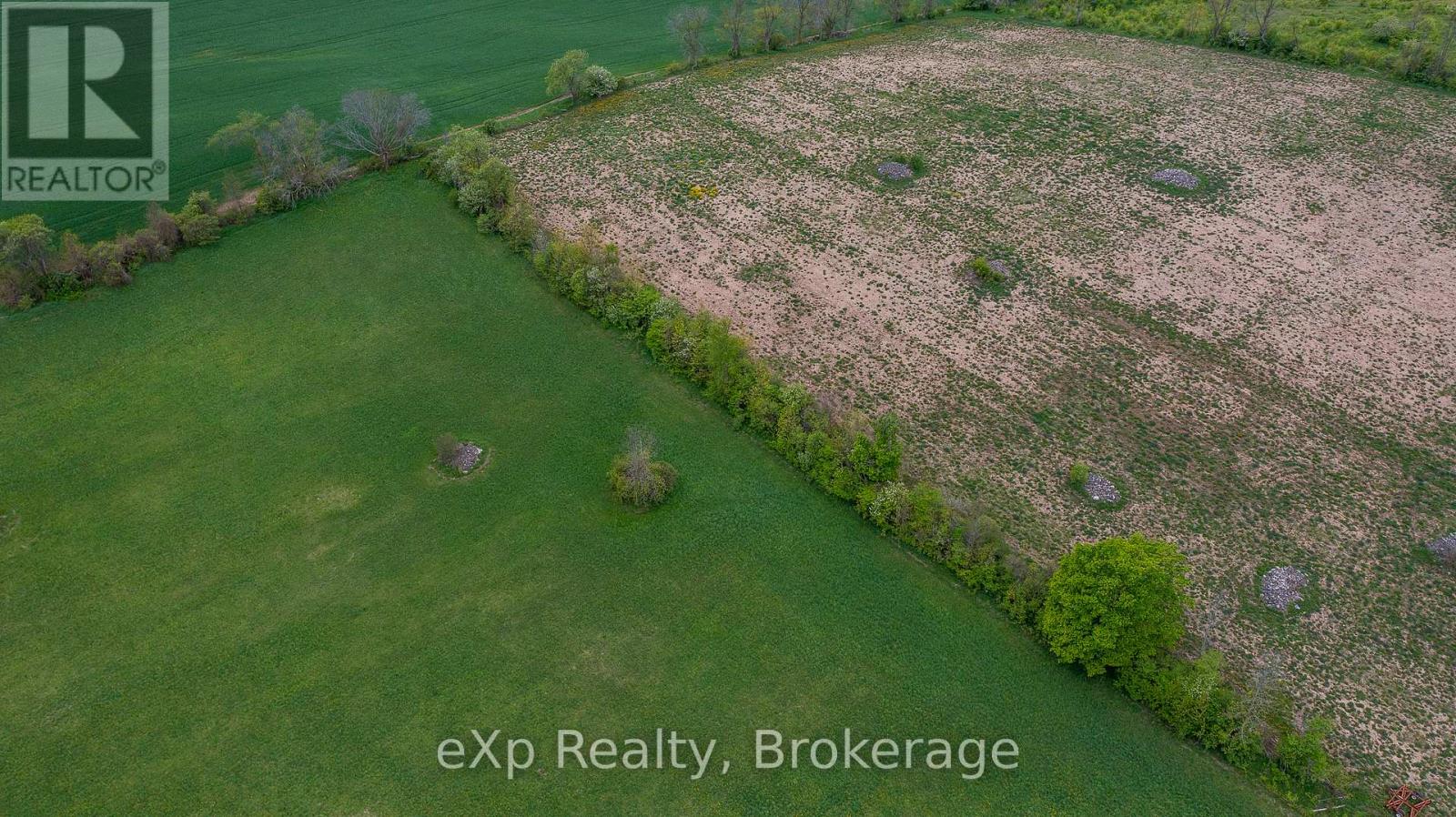 216 Concession 10 E, Arran-Elderslie, Ontario  N0H 2N0 - Photo 8 - X12176268