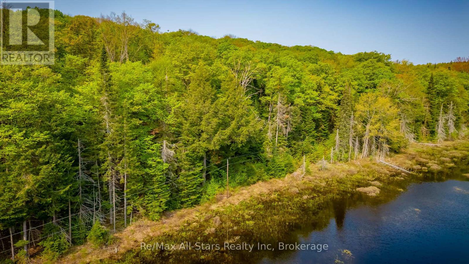 0 Angle Lake Road, Lake Of Bays, Ontario  P0A 1H0 - Photo 11 - X12176331