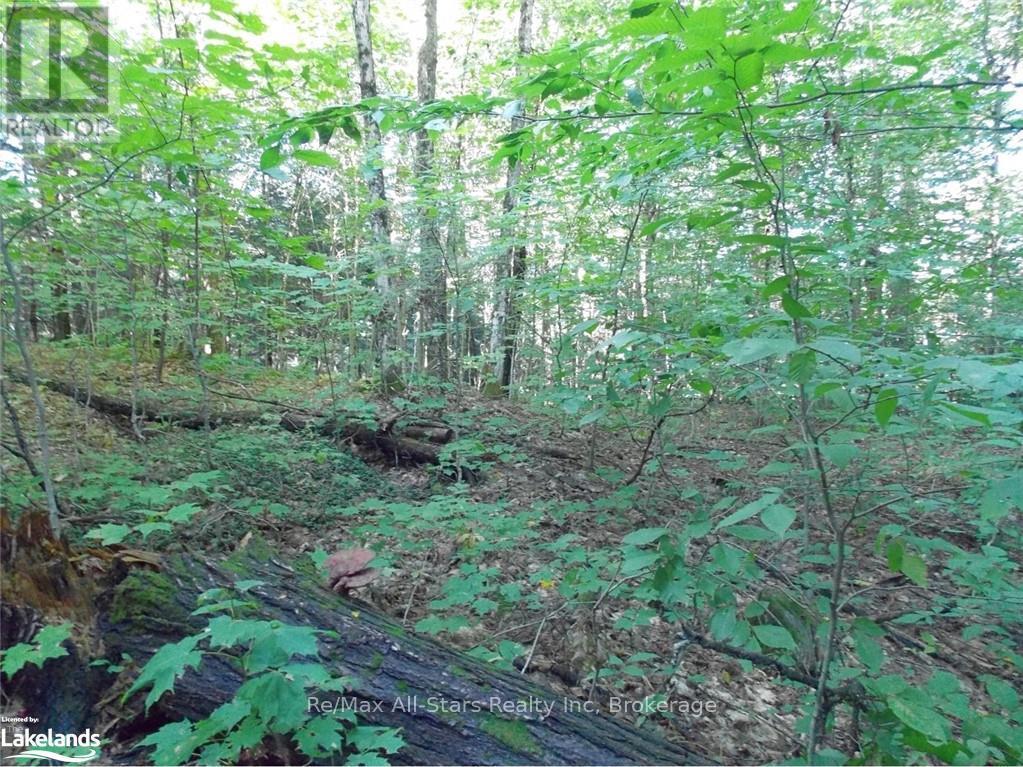 0 Angle Lake Road, Lake Of Bays, Ontario  P0A 1H0 - Photo 4 - X12176331
