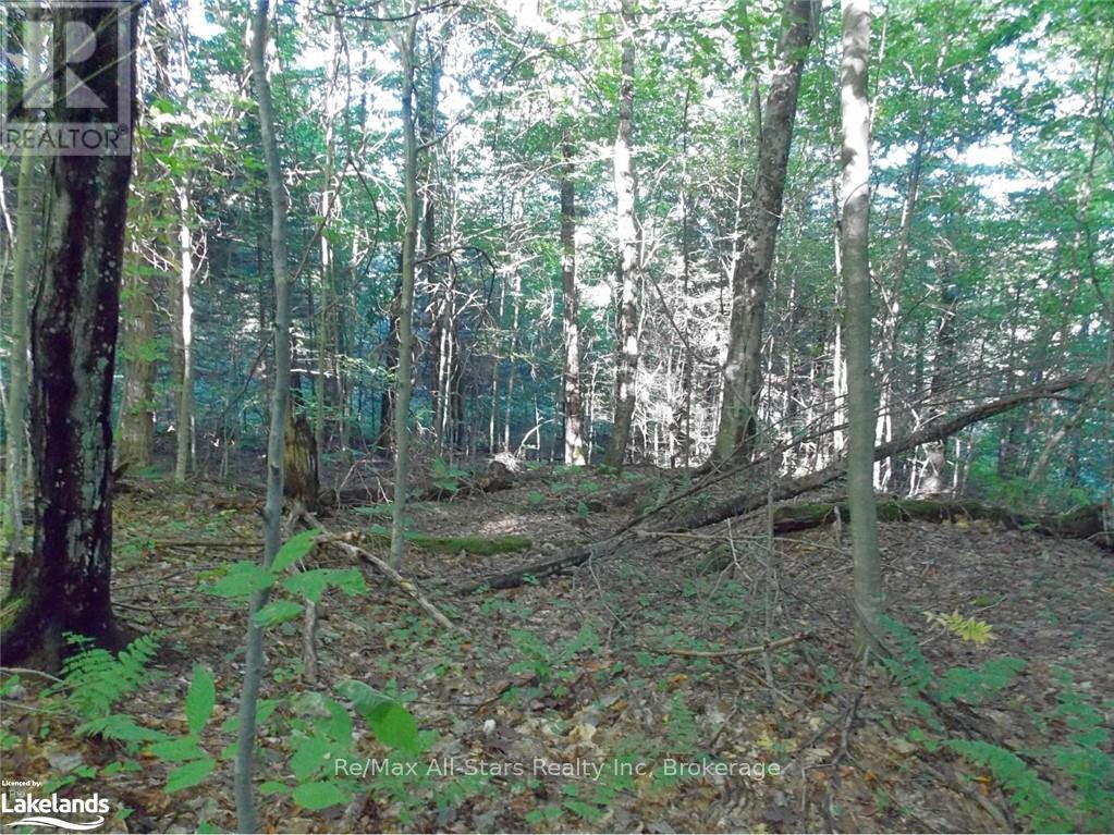 0 Angle Lake Road, Lake Of Bays, Ontario  P0A 1H0 - Photo 5 - X12176331