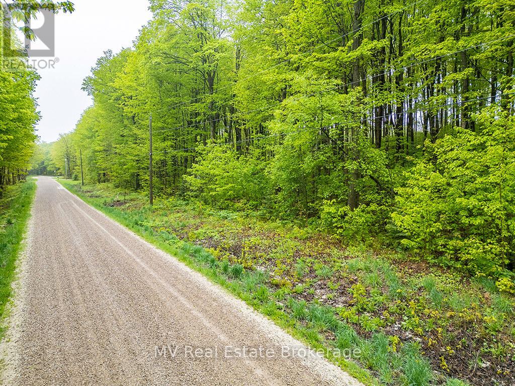 Pt Lt 6 Baseline Road, Grey Highlands, Ontario  N0C 1H0 - Photo 4 - X12176417