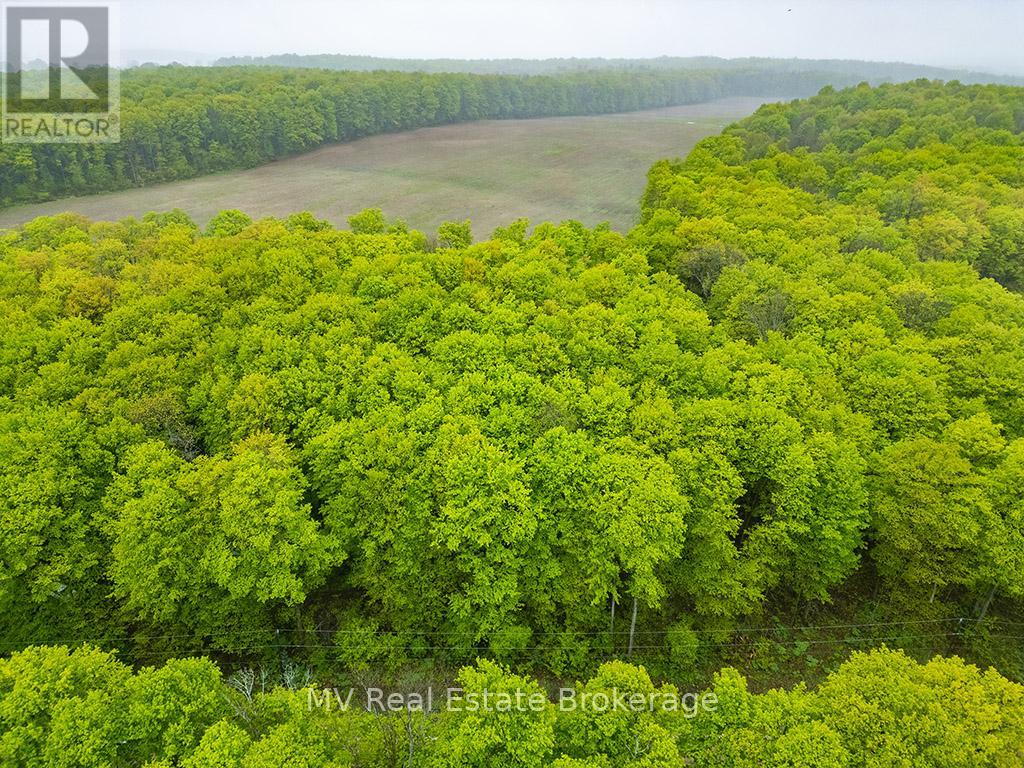 Pt Lt 6 Baseline Road, Grey Highlands, Ontario  N0C 1H0 - Photo 5 - X12176417