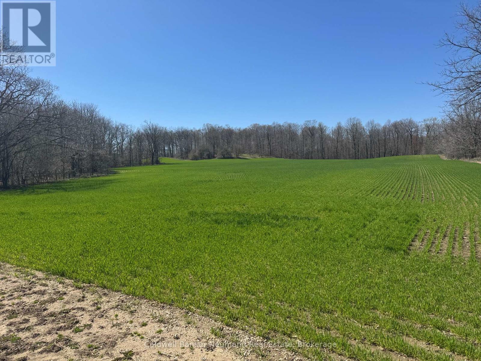 00 Bethel/huron Road, Wilmot, Ontario  N0B 2E0 - Photo 3 - X12177043