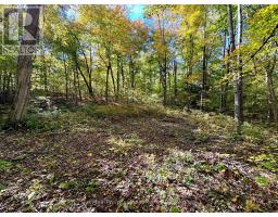 234 LONGS LAKE ROAD, Huntsville, Ontario