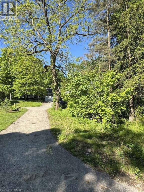 34 Mcdougall Road, Waterloo, Ontario  N2L 2W5 - Photo 6 - 40734910