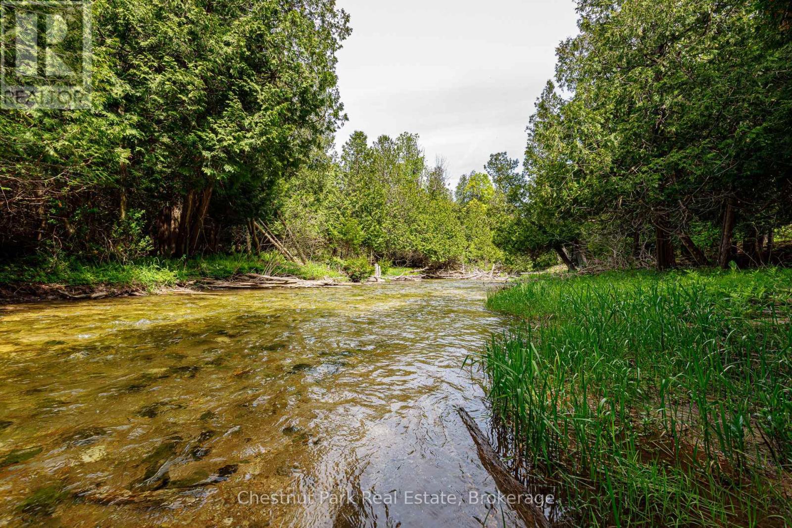 174386 Lower Valley Road, Grey Highlands, Ontario  N0C 1H0 - Photo 34 - X12180875