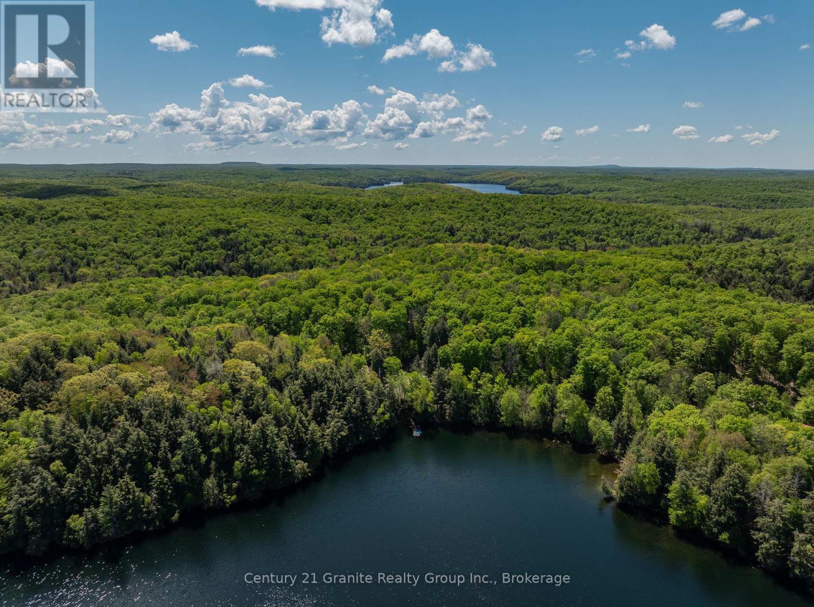 1145 Mink Road, Dysart Et Al, Ontario  K0M 1S0 - Photo 35 - X12181075