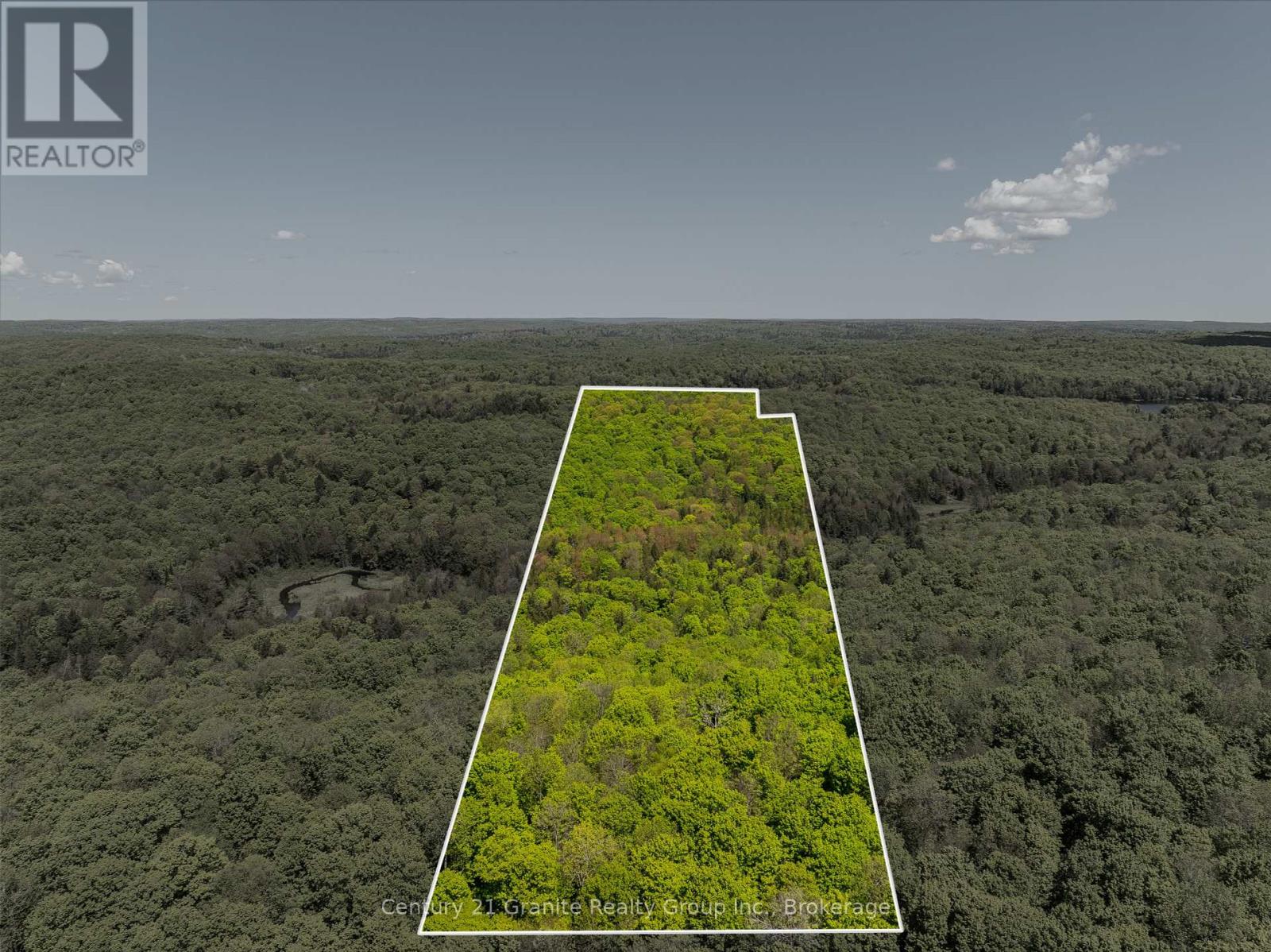 1145 Mink Road, Dysart Et Al, Ontario  K0M 1S0 - Photo 40 - X12181075