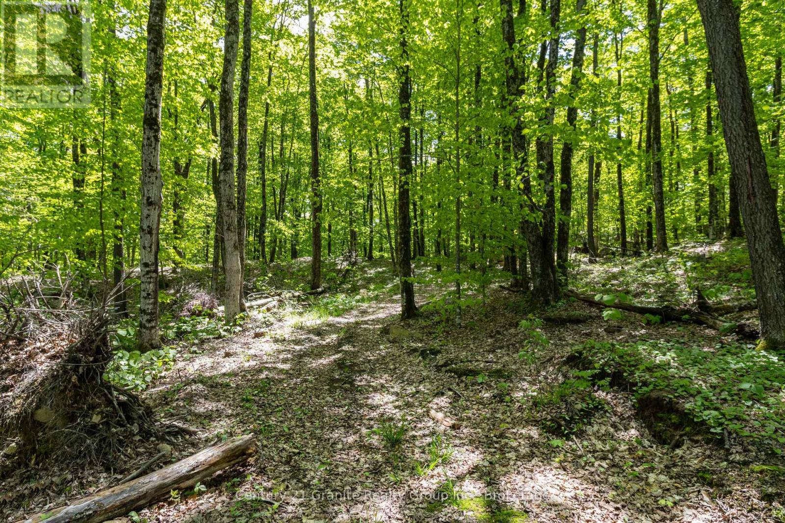 1145 Mink Road, Dysart Et Al, Ontario  K0M 1S0 - Photo 41 - X12181075