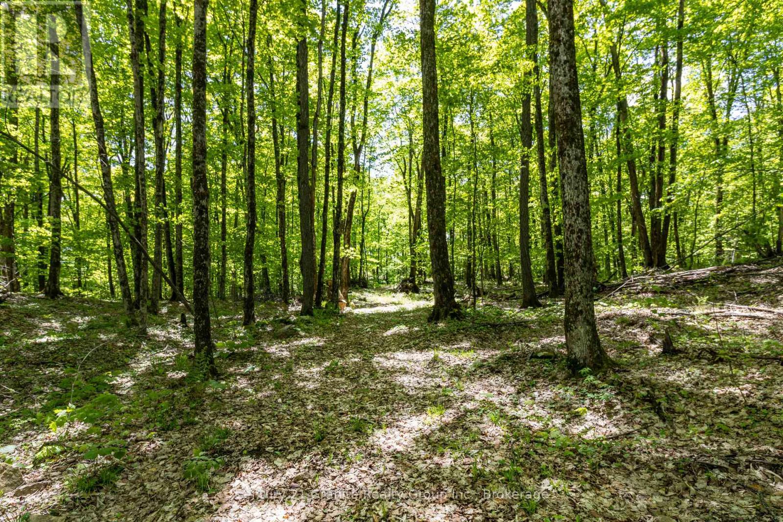 1145 Mink Road, Dysart Et Al, Ontario  K0M 1S0 - Photo 42 - X12181075