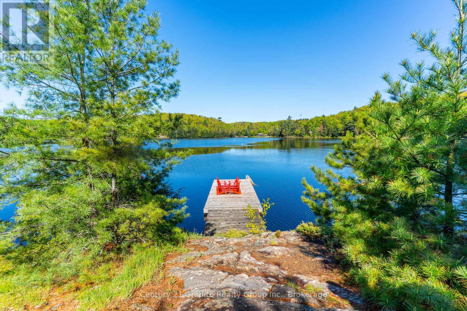 1226 Trapline Trail, Dysart Et Al, Ontario  K0M 1S0 - Photo 41 - X12181203