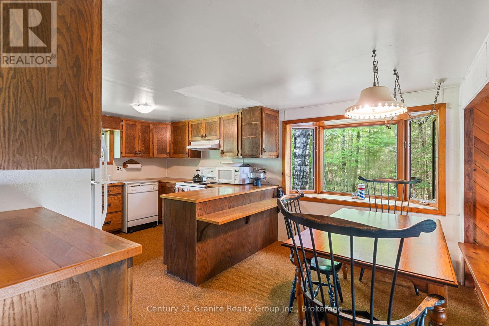 1036 Shirleys Road, Dysart Et Al, Ontario  K0M 1S0 - Photo 16 - X12181283