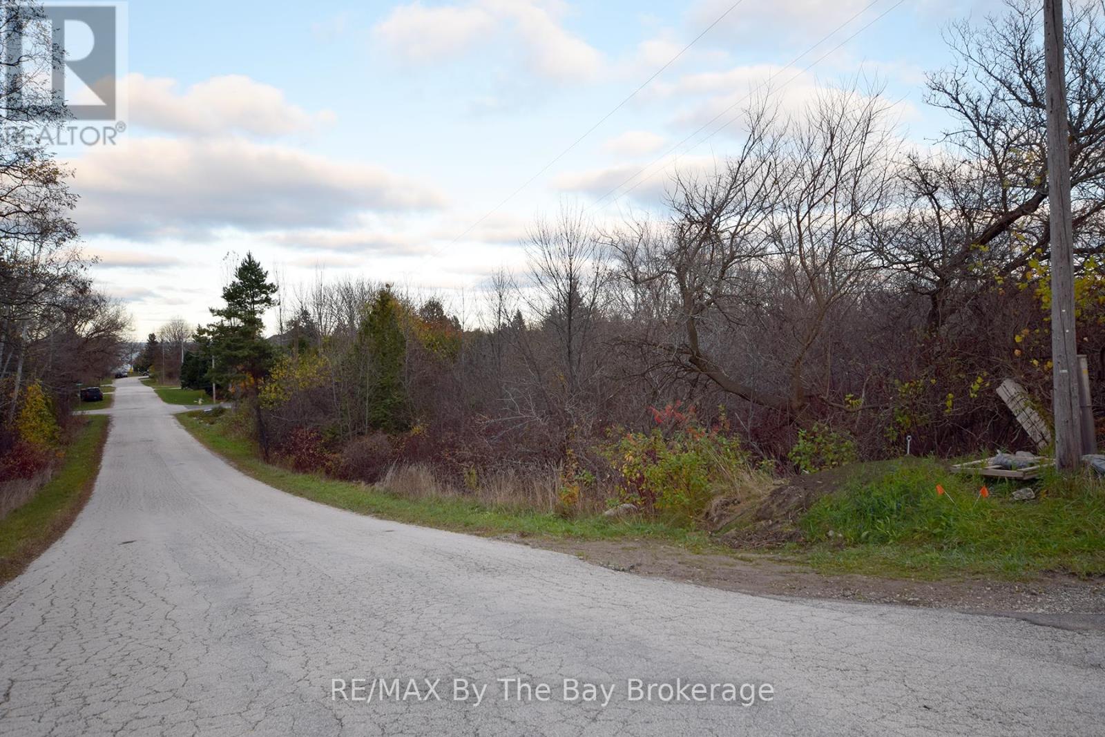 41 Lansdowne Street N, Blue Mountains, Ontario  N0H 2P0 - Photo 11 - X12181626