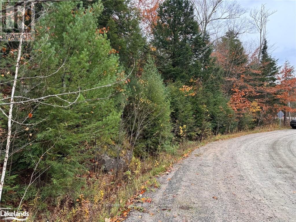 0 Latvian Road, Bracebridge, Ontario  P1L 0A1 - Photo 6 - X12182567
