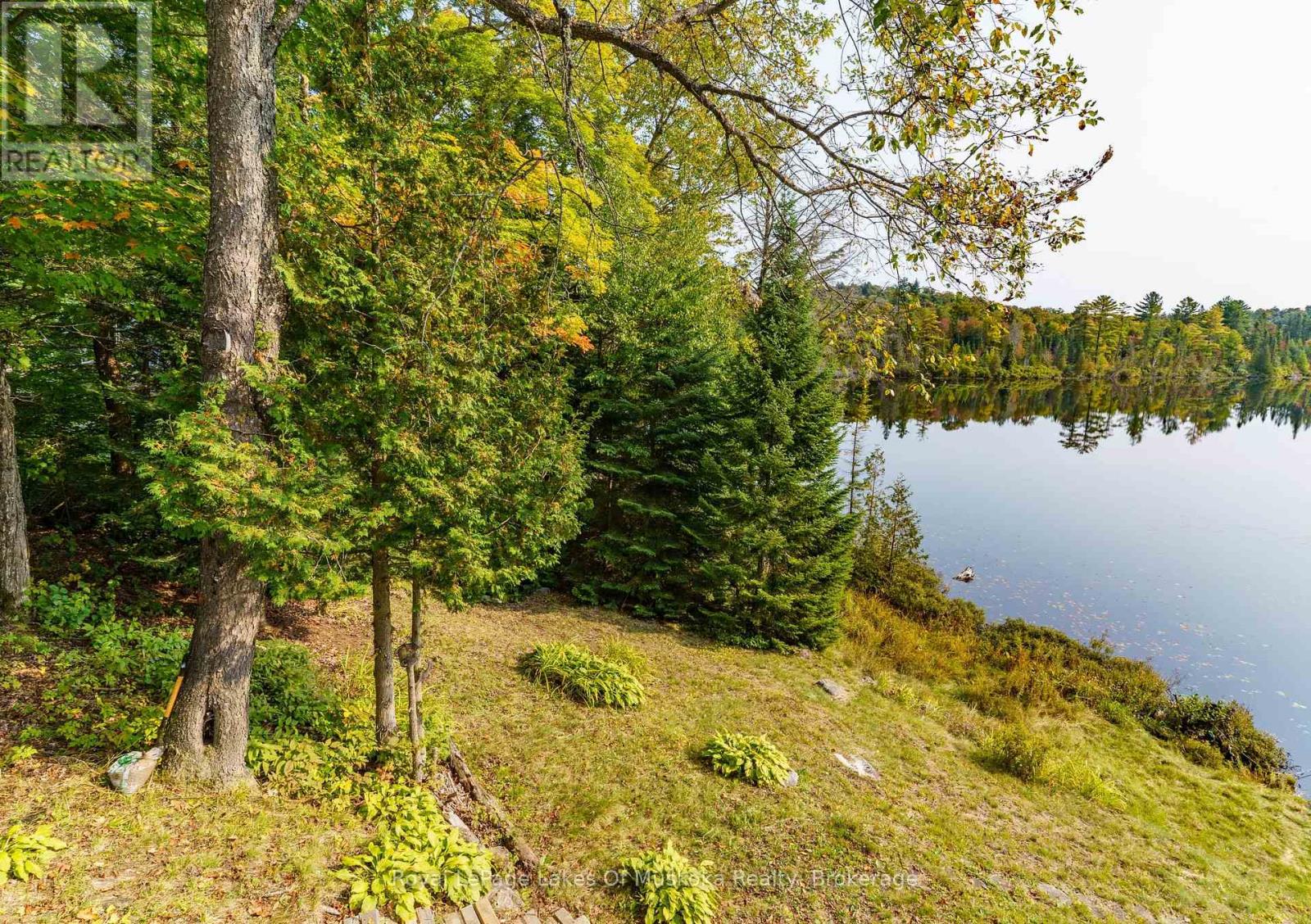 1119 Grist Mill Lane, Algonquin Highlands, Ontario  P0A 1E0 - Photo 28 - X12182651
