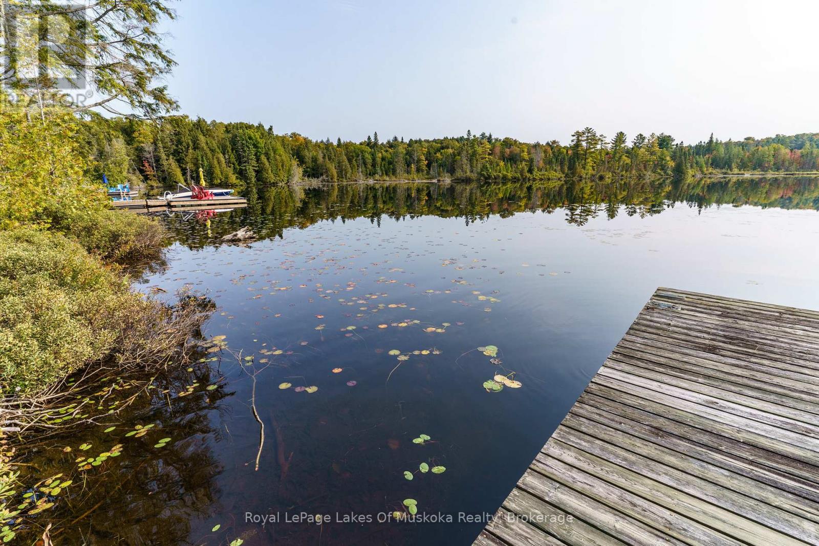 1119 Grist Mill Lane, Algonquin Highlands, Ontario  P0A 1E0 - Photo 32 - X12182651