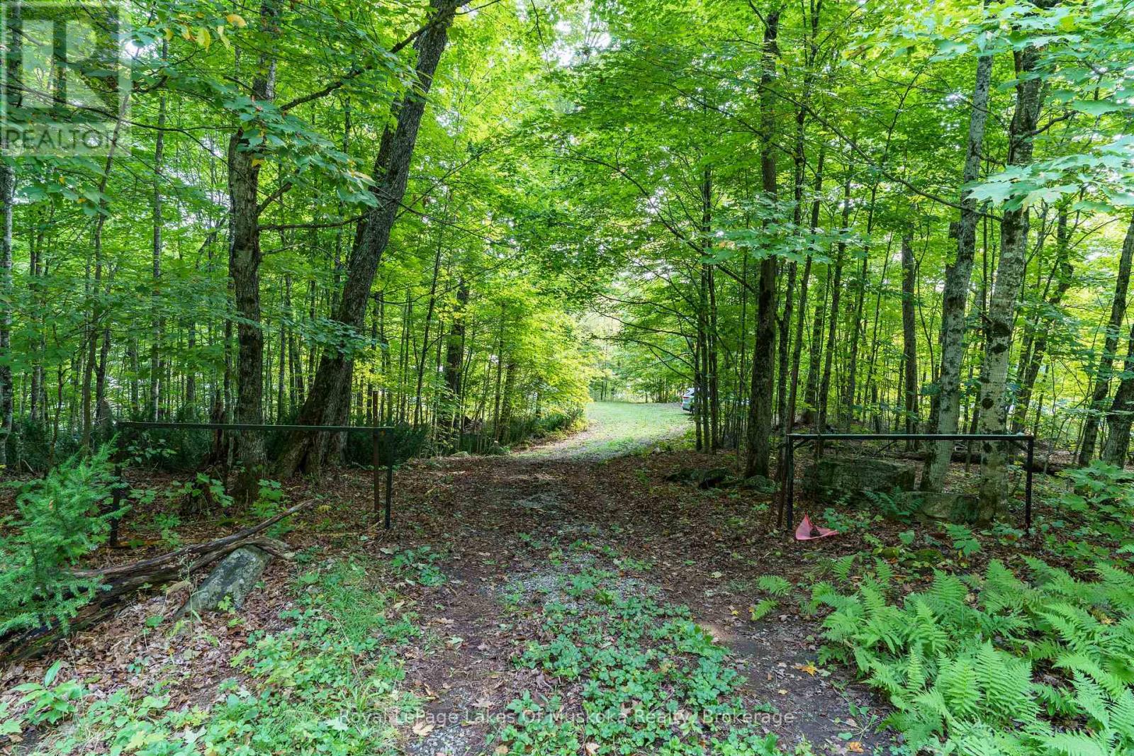 1119 Grist Mill Lane, Algonquin Highlands, Ontario  P0A 1E0 - Photo 34 - X12182651