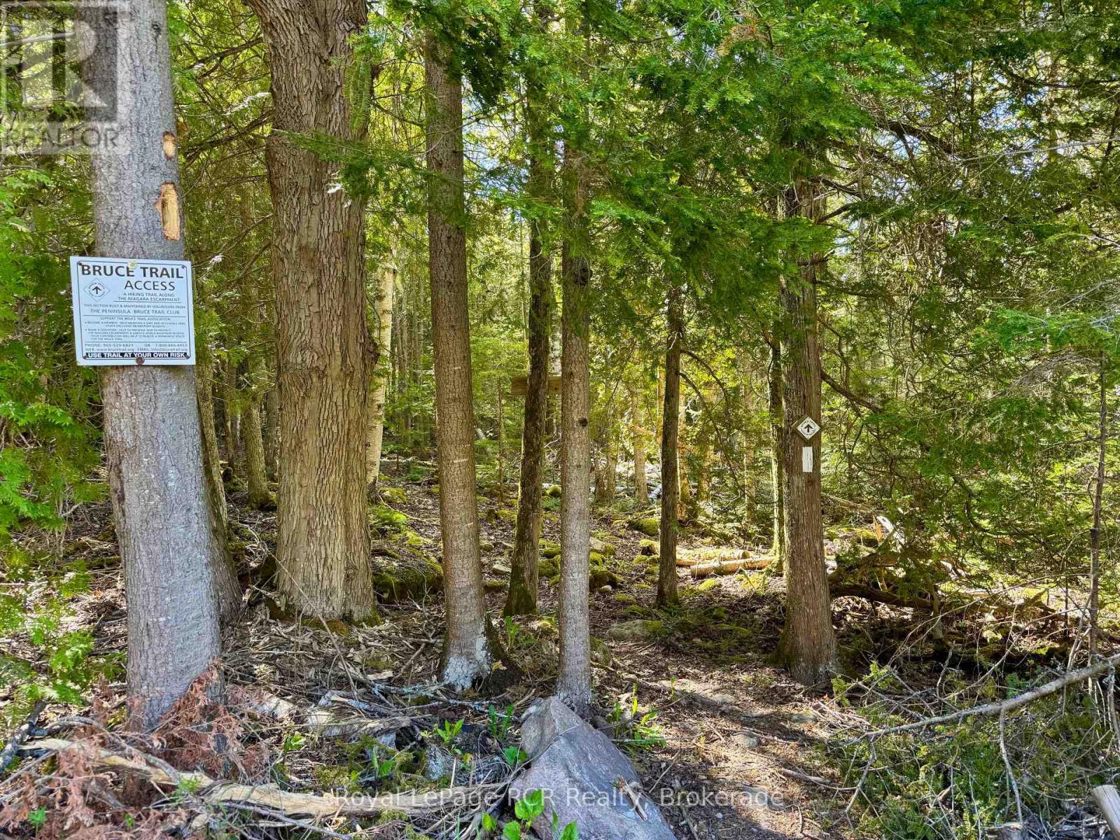 30 Cape Chin N Shore Road, Northern Bruce Peninsula, Ontario  N0H 1W0 - Photo 43 - X12183338
