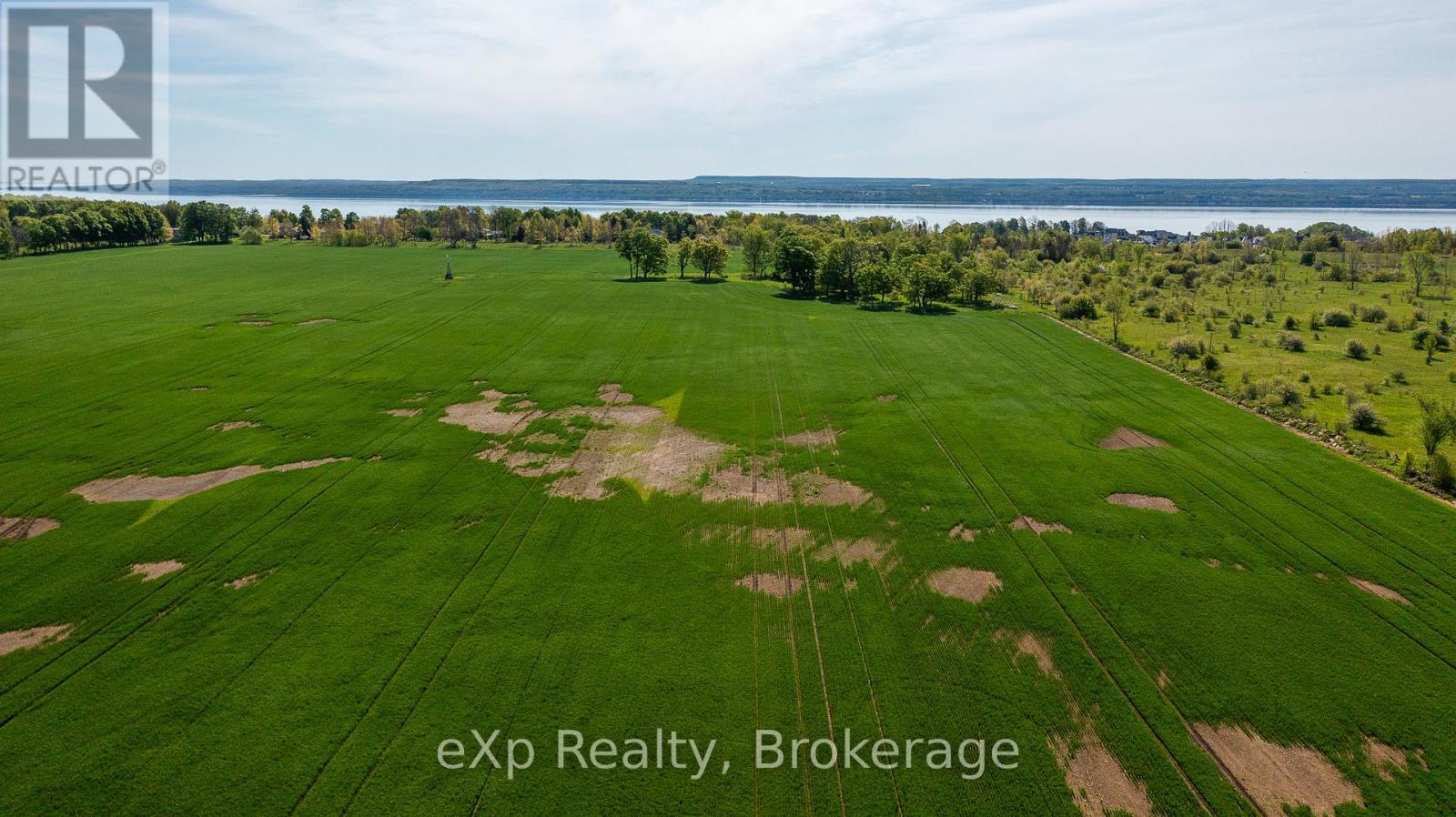 Ptlt 31 Con 2, Grey Road 1, Georgian Bluffs, Ontario  N0H 1S0 - Photo 6 - X12183543