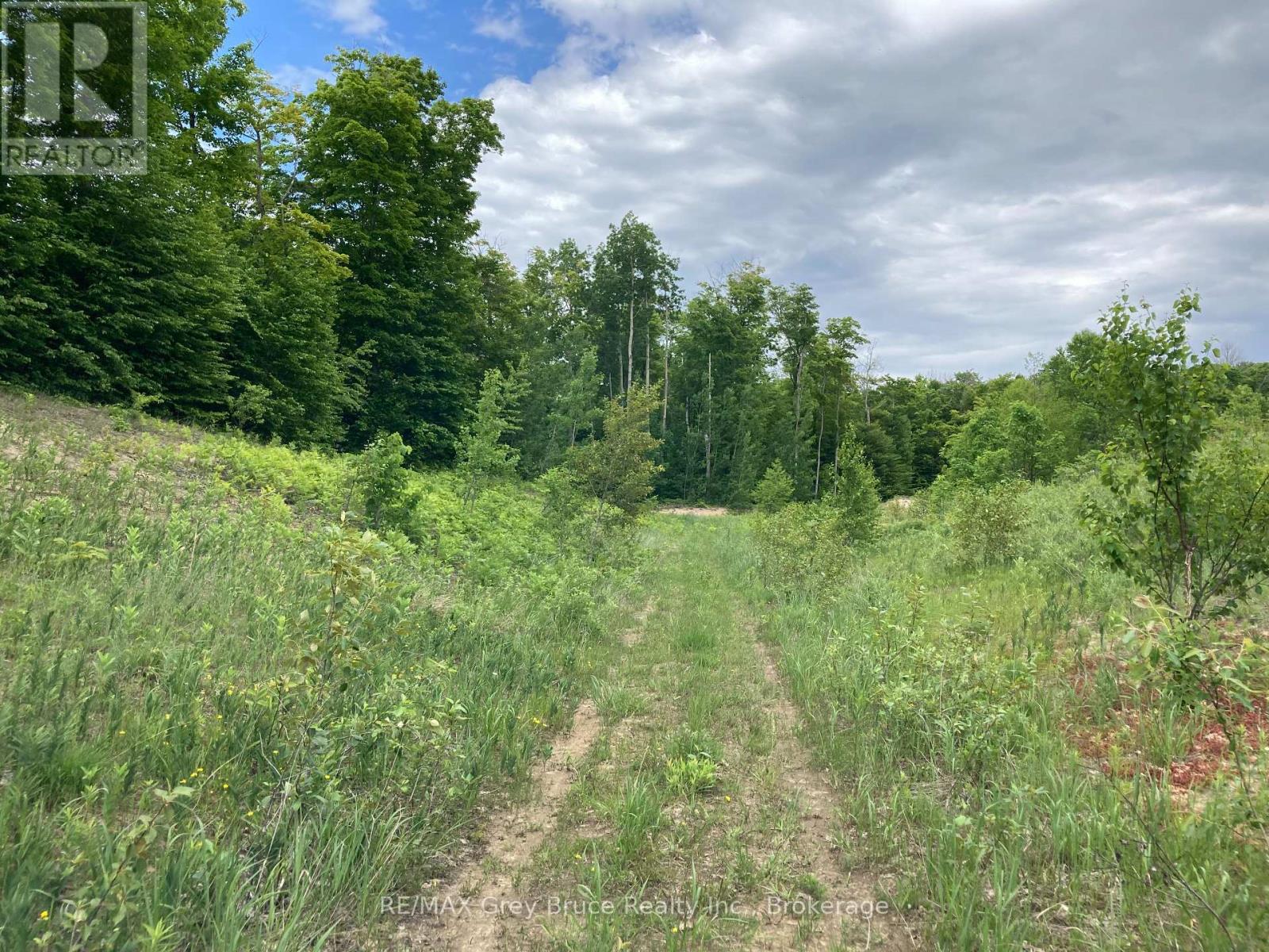 217 Bryant Street, South Bruce Peninsula, Ontario  N0H 2T0 - Photo 18 - X12183660