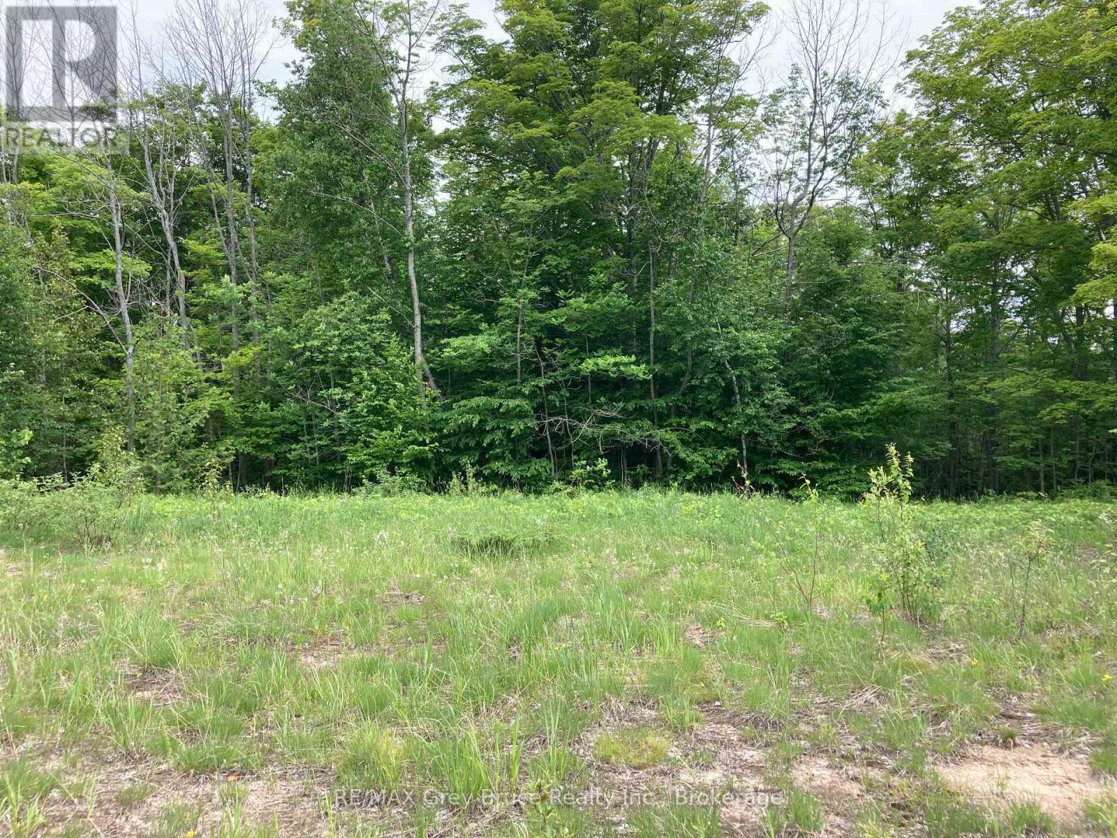 217 Bryant Street, South Bruce Peninsula, Ontario  N0H 2T0 - Photo 19 - X12183660