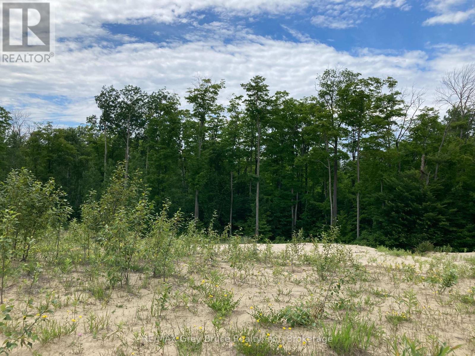 217 Bryant Street, South Bruce Peninsula, Ontario  N0H 2T0 - Photo 22 - X12183660