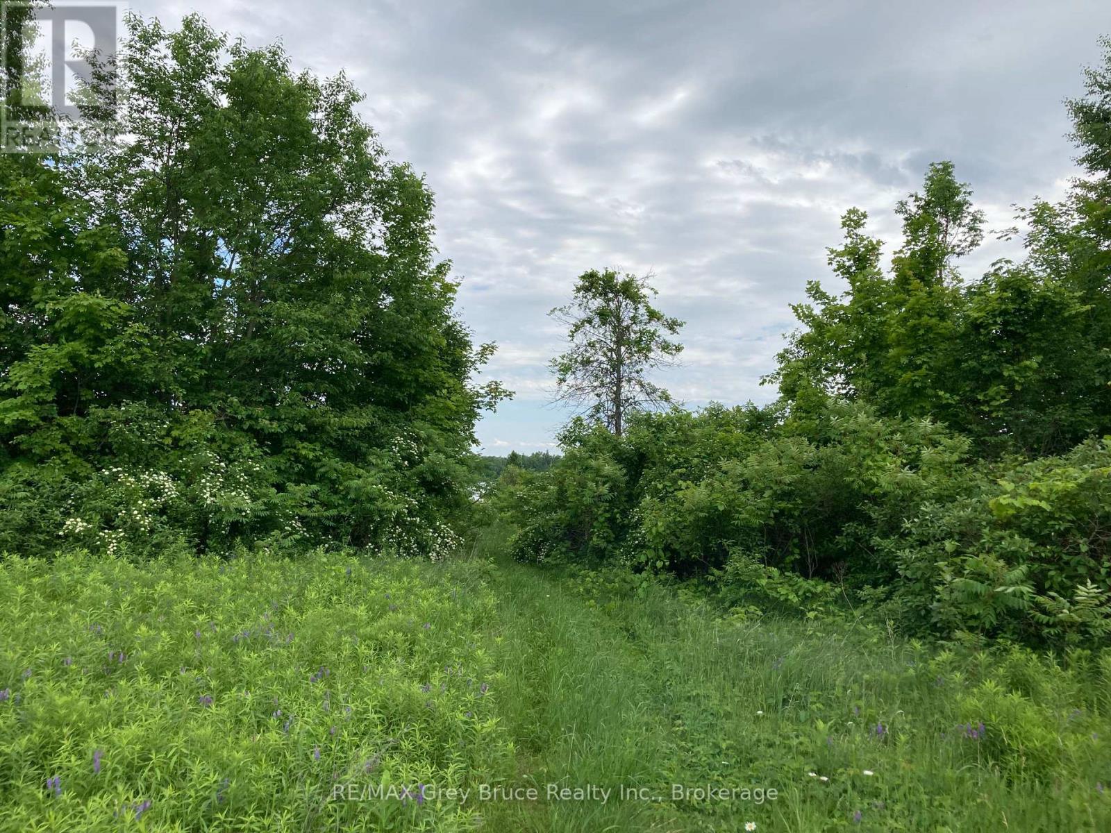 217 Bryant Street, South Bruce Peninsula, Ontario  N0H 2T0 - Photo 24 - X12183660