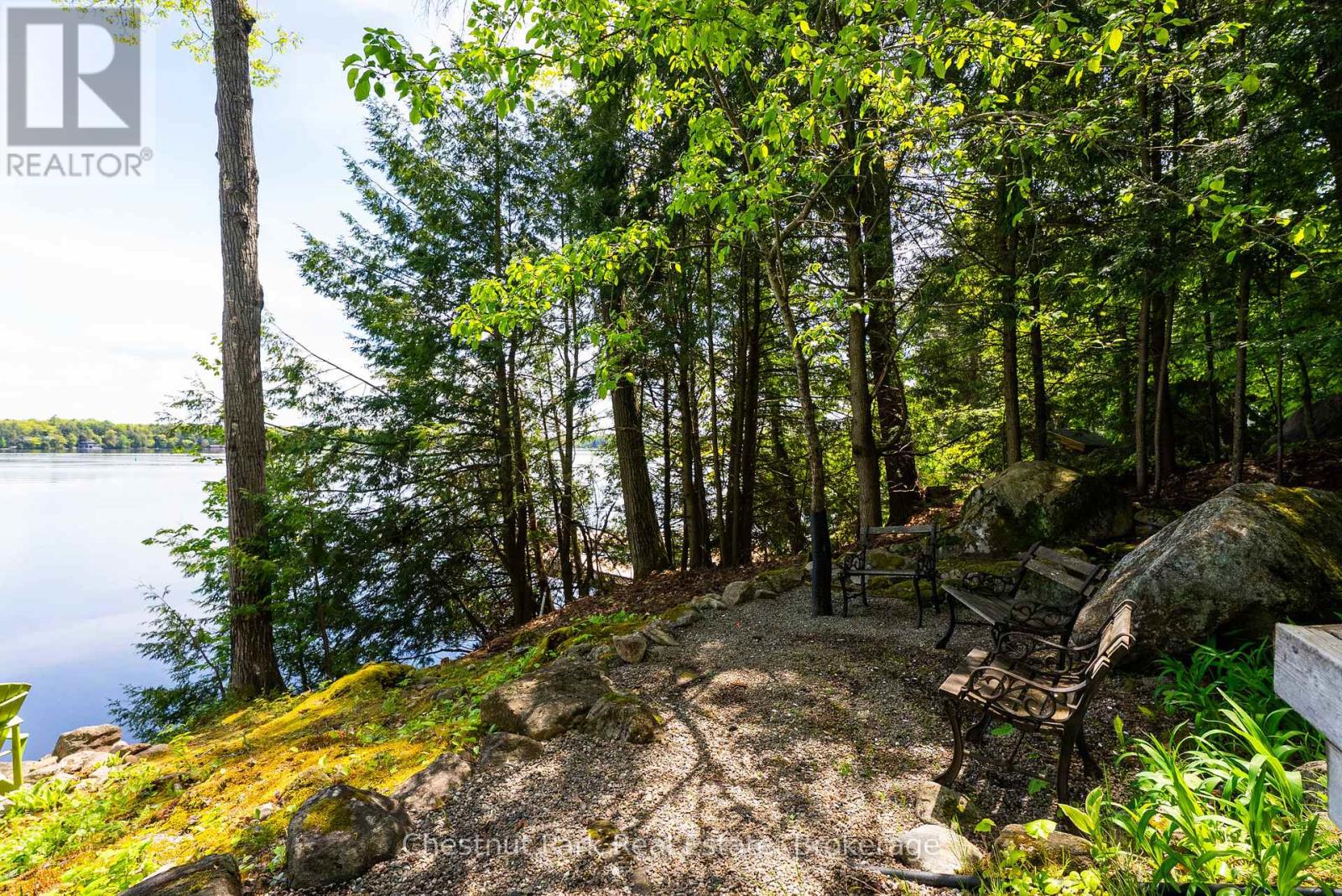 3 - 1246 Dudley Road, Muskoka Lakes, Ontario  P0C 1A0 - Photo 33 - X12183675
