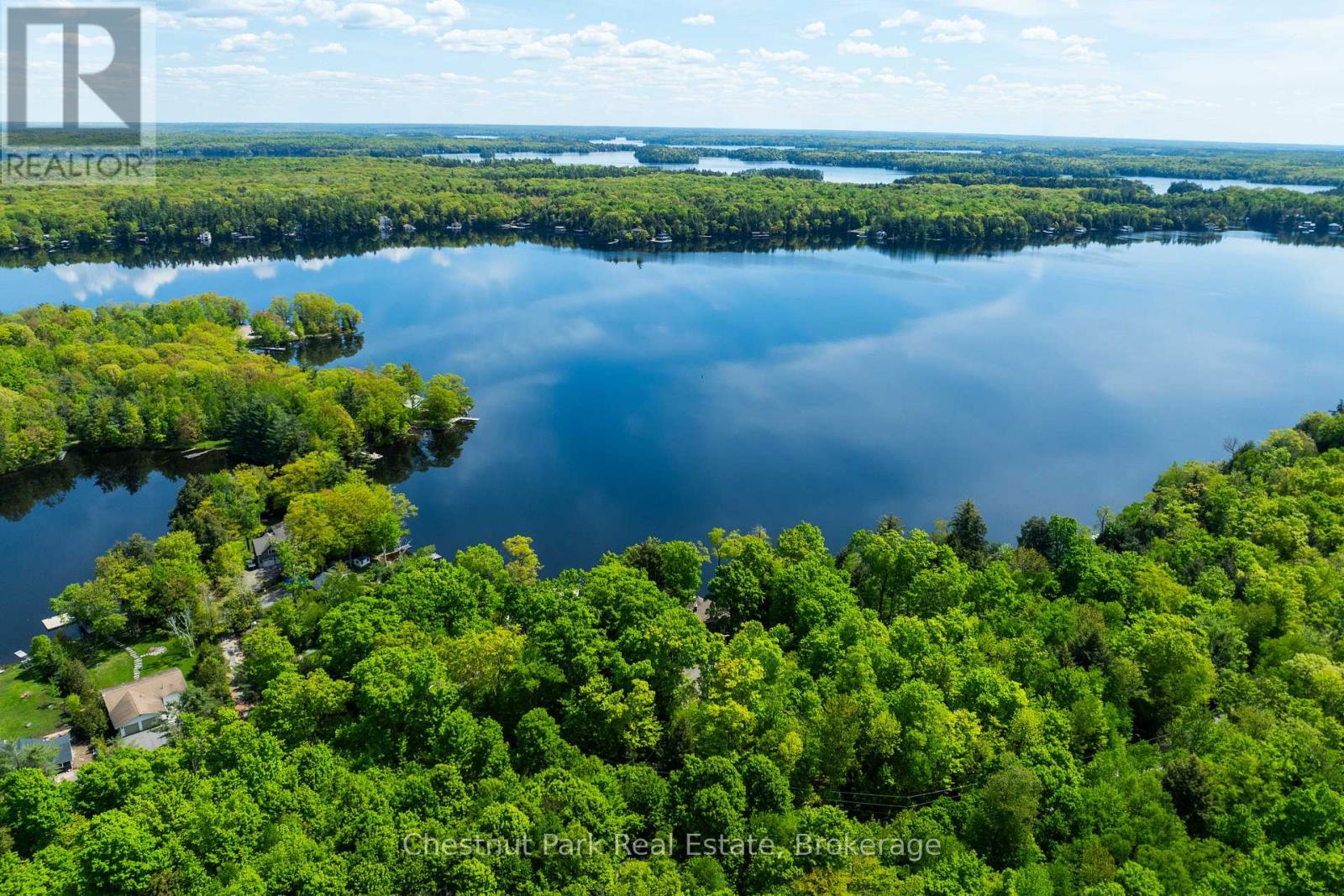 3 - 1246 Dudley Road, Muskoka Lakes, Ontario  P0C 1A0 - Photo 46 - X12183675