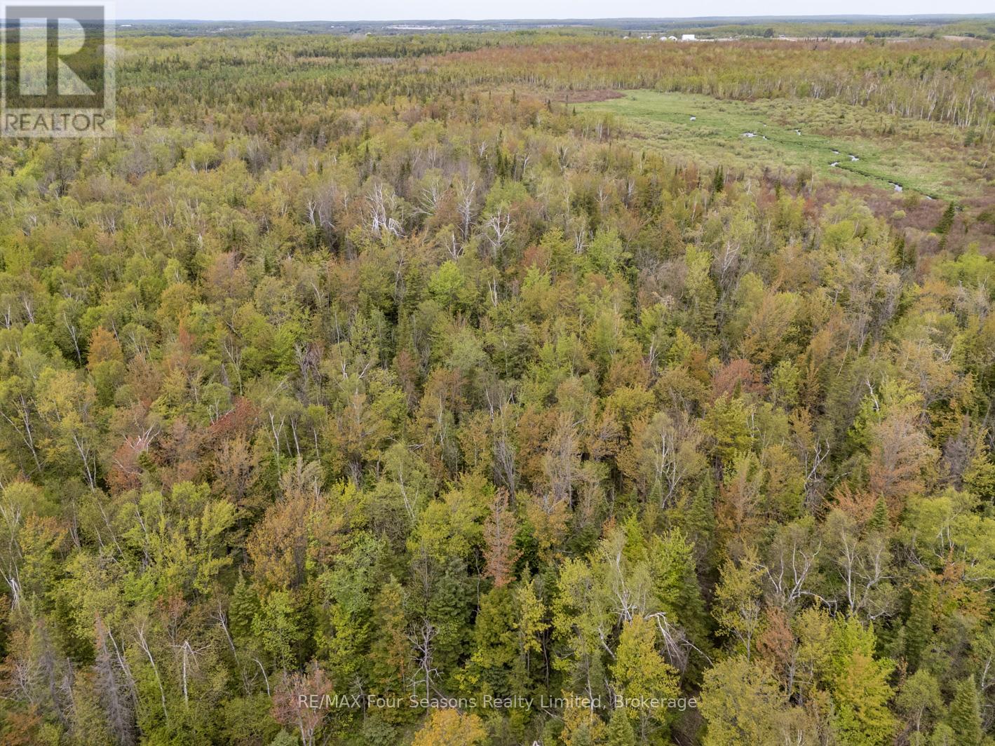 348305 4th Concession B Concession, Grey Highlands, Ontario  N0C 1H0 - Photo 6 - X12184283