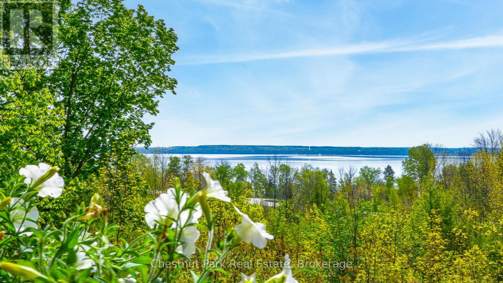 505720 Grey Road 1, Georgian Bluffs, Ontario  N0H 1S0 - Photo 35 - X12184499