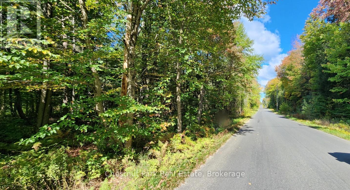 0 Skyline Drive, Armour, Ontario  P0A 1C0 - Photo 1 - X12184624