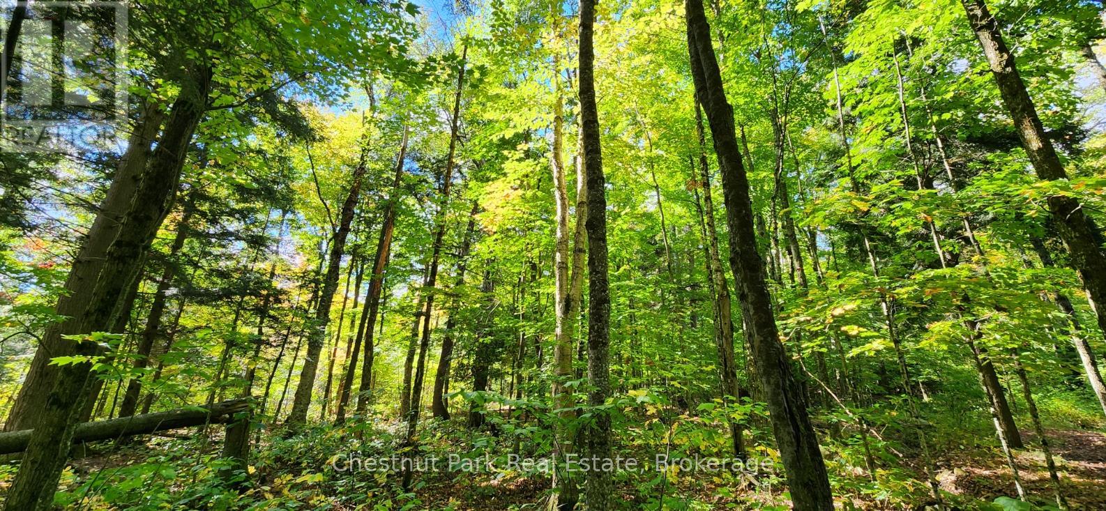 0 Skyline Drive, Armour, Ontario  P0A 1C0 - Photo 10 - X12184624