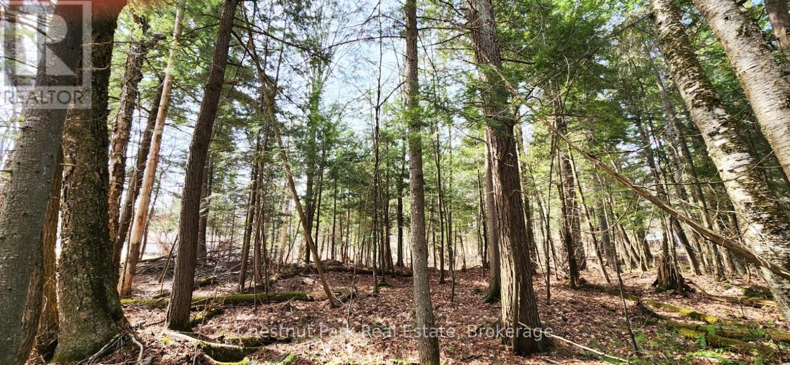 0 Skyline Drive, Armour, Ontario  P0A 1C0 - Photo 11 - X12184624